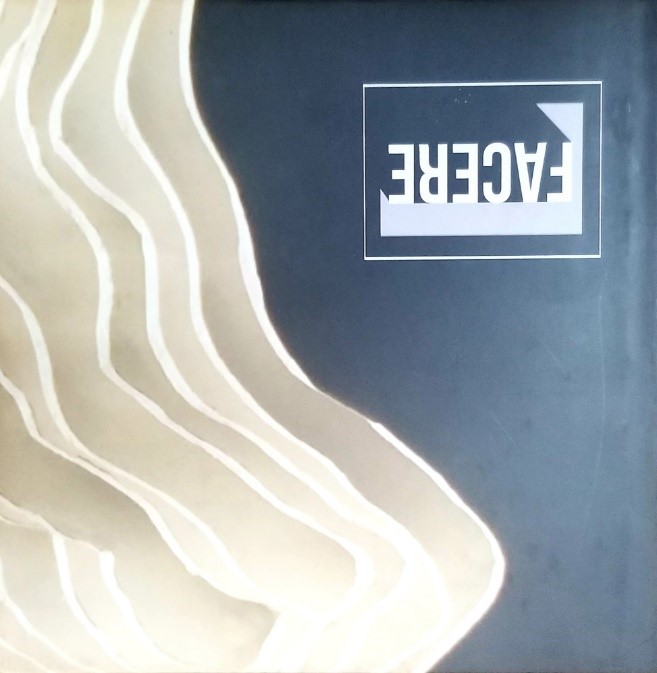 FACERE, STUDIO BOOK 2017, DEPARTMENT OF ARCHITECTURE